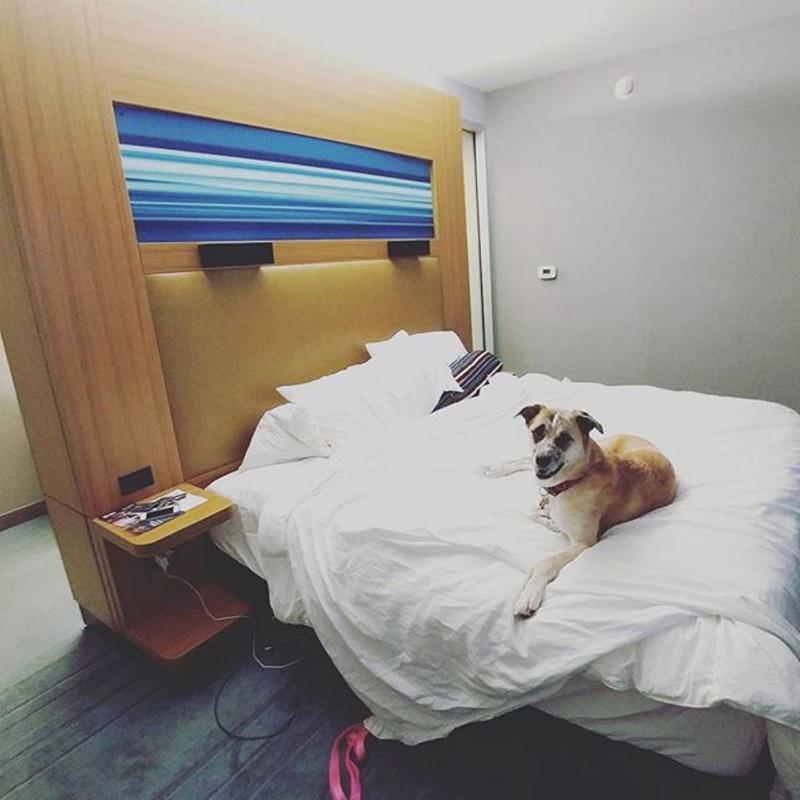 Hotel Aloft 3*